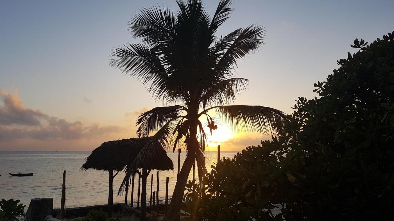 Bed & Breakfast Mina Beachhouse Jambiani (Zanzibar)