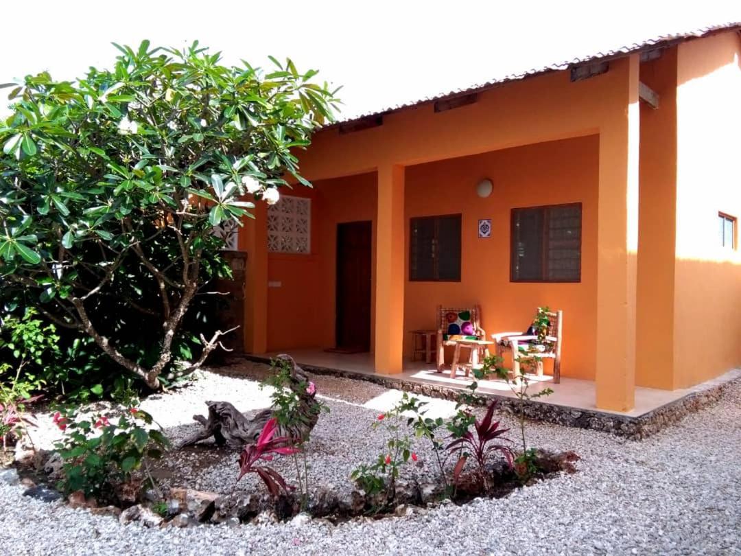 Kamili View