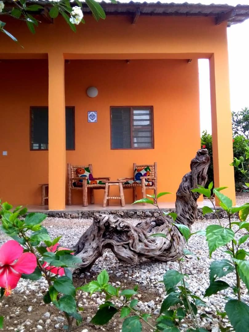 Apartment Kamili View