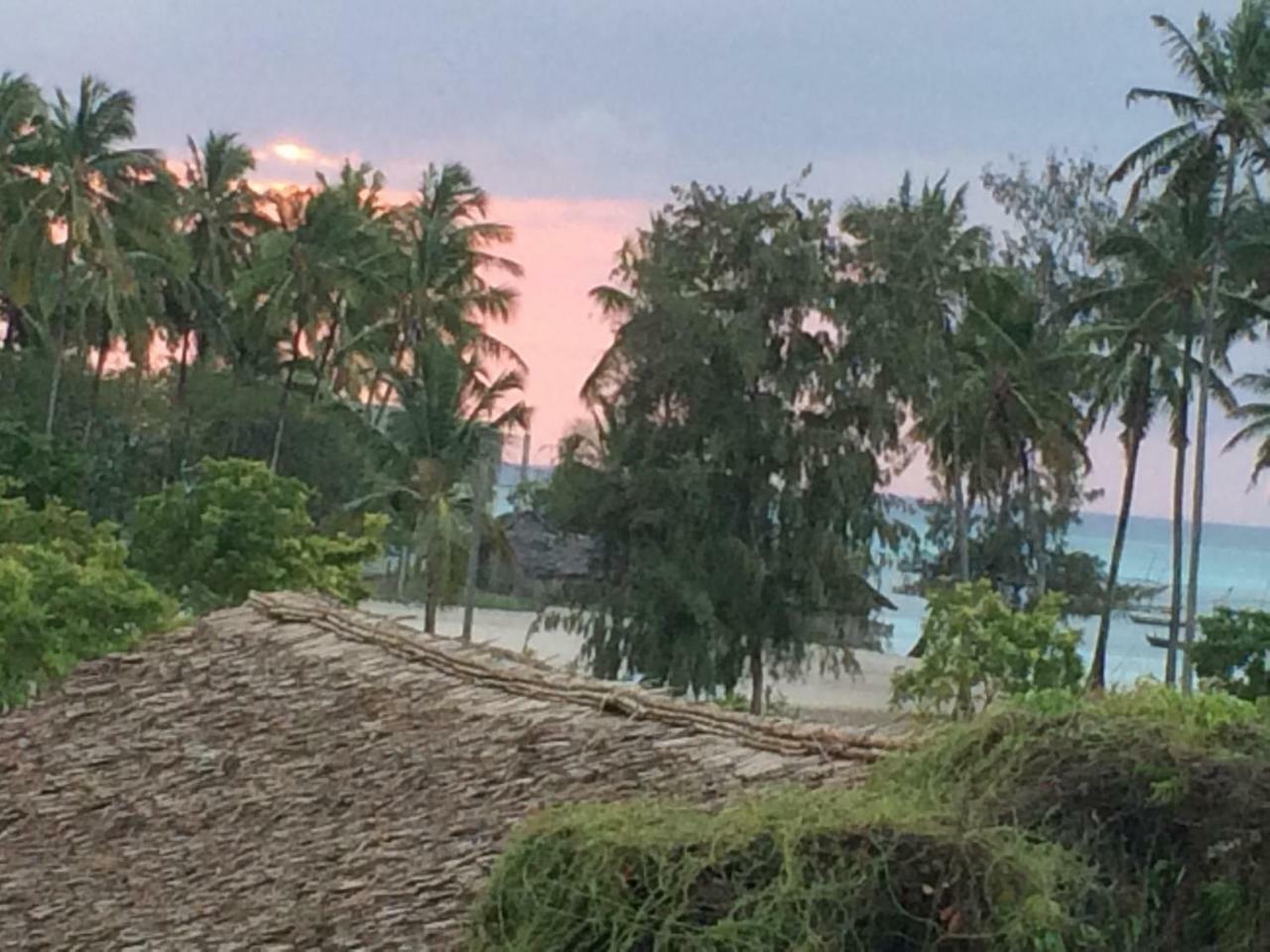 Shamba Hotel Nungwi