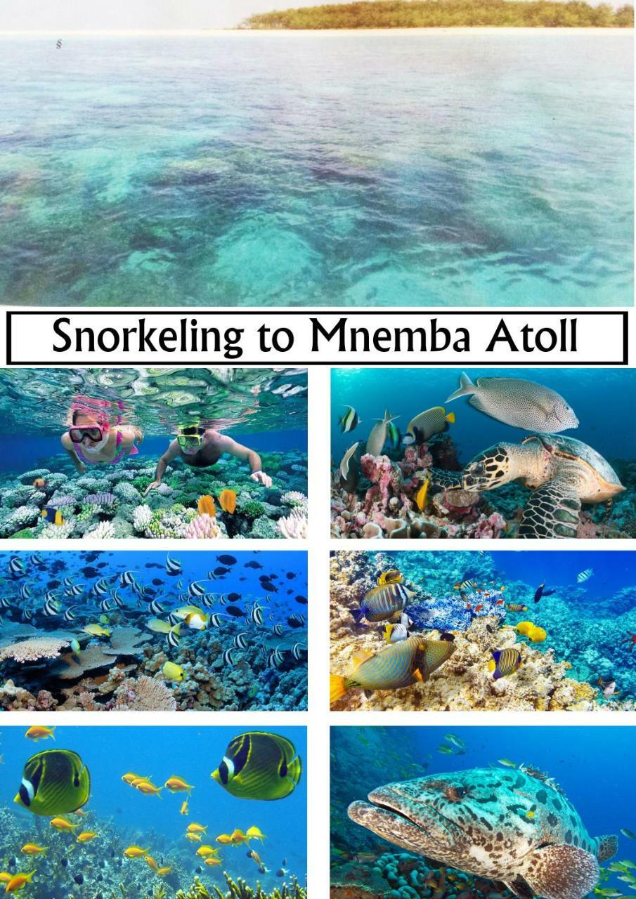 Baraka Aquarium Frühstückspension Nungwi