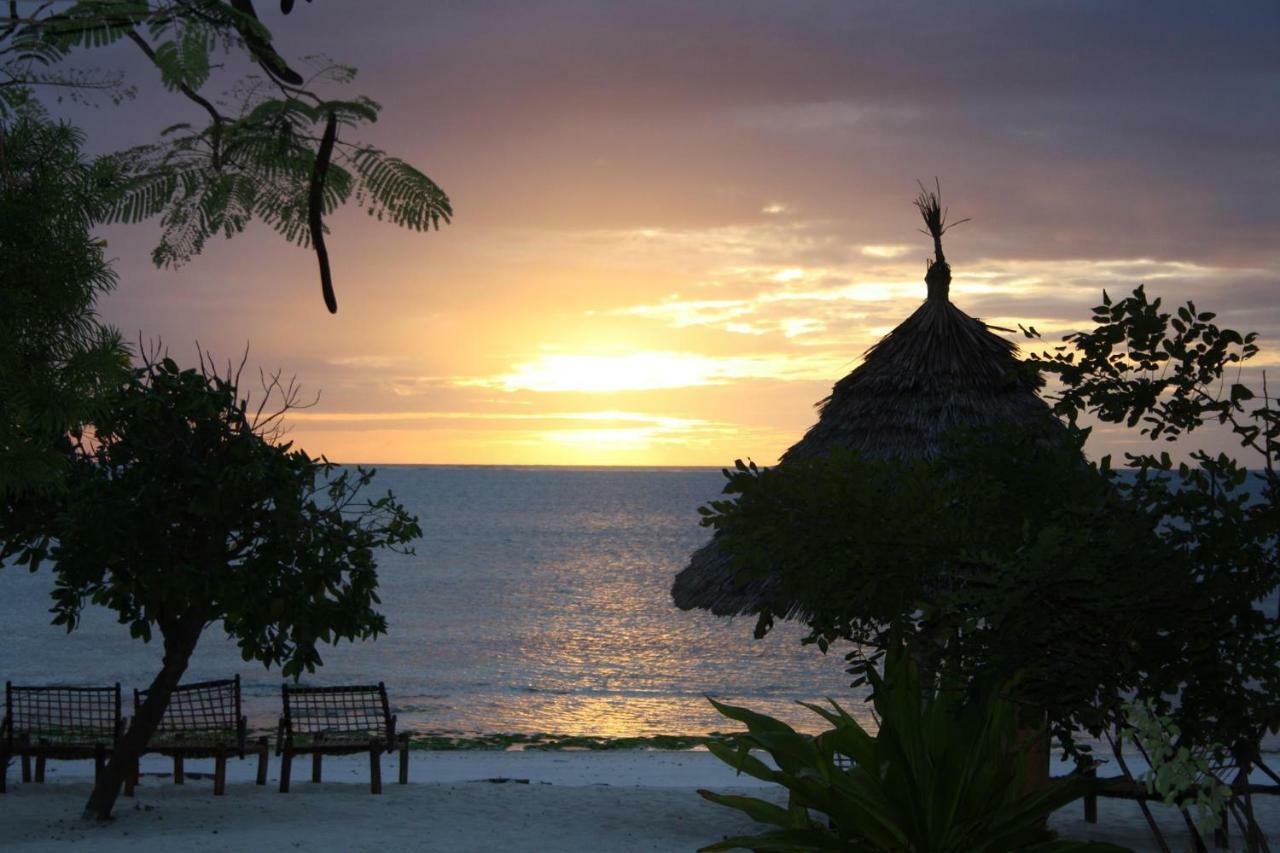 Aparthotel The Coco Paradise *