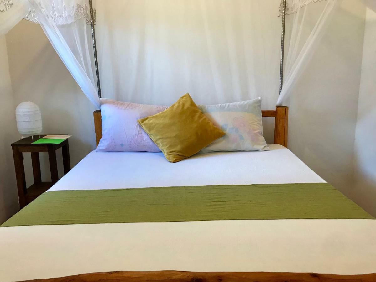 Swedzan House Hostel