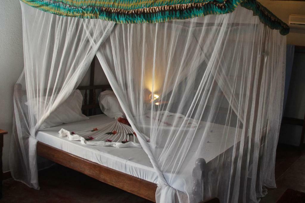 Palumbokendwa 4*