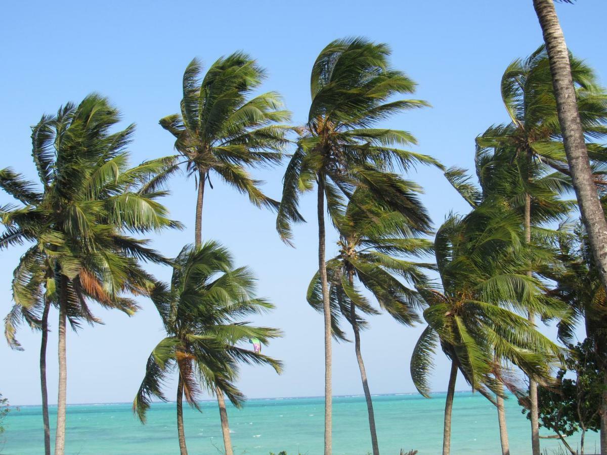 Furaha * Jambiani (Zanzibar)