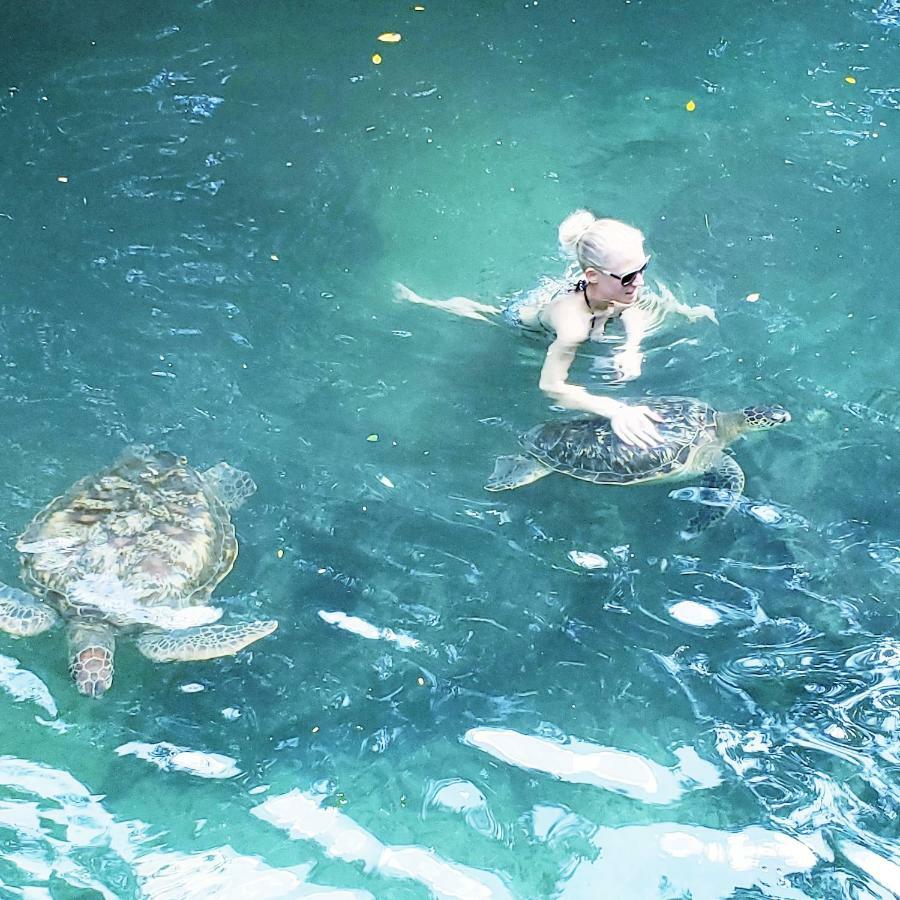 Baraka Aquarium 2* Nungwi