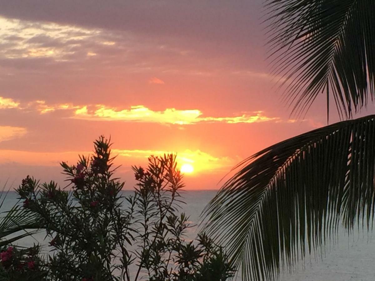 Bed & Breakfast Mina Beachhouse 2*