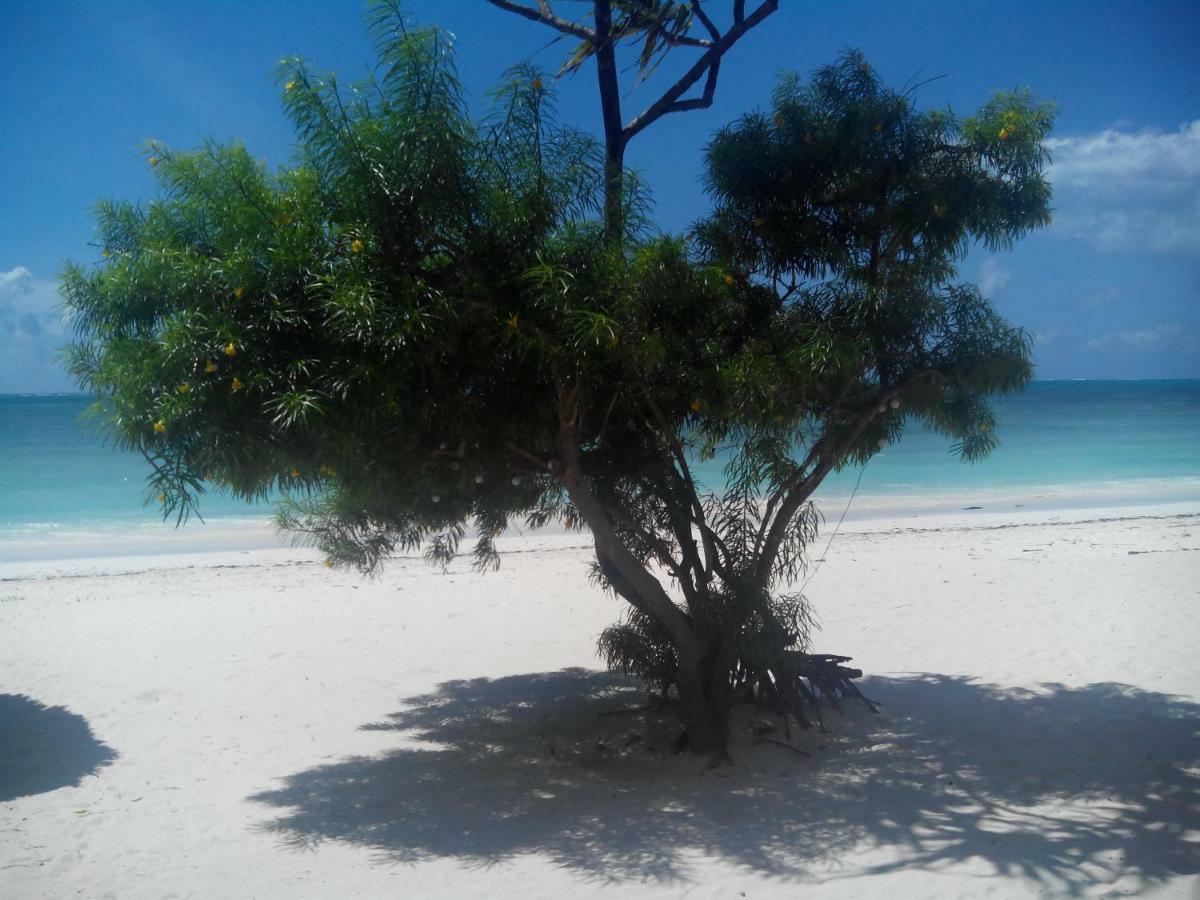 The Coco Paradise Jambiani (Zanzibar)