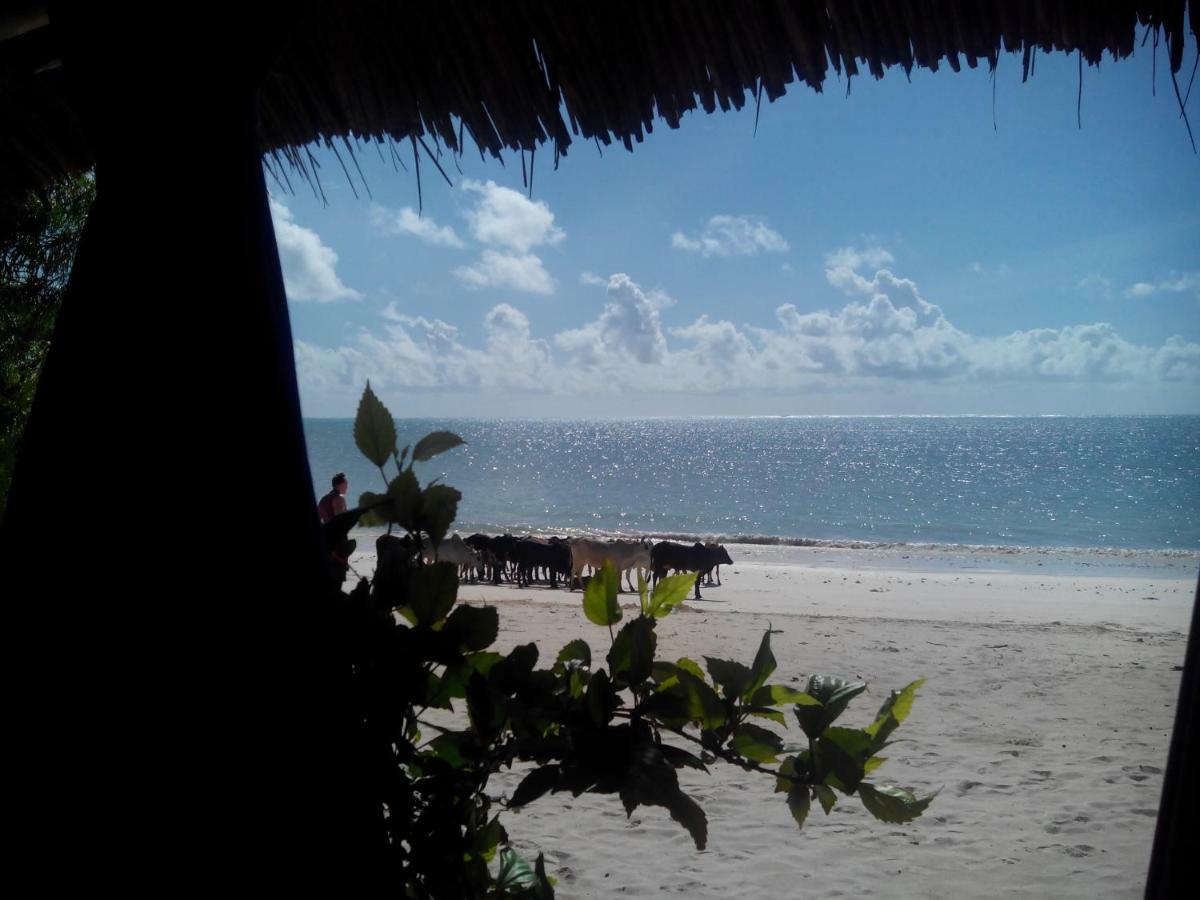 Aparthotel The Coco Paradise