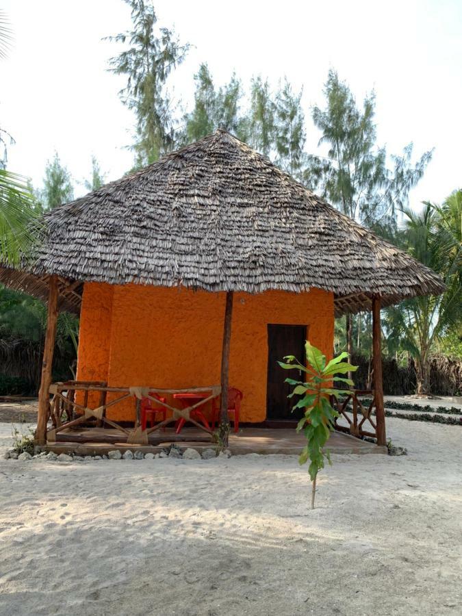 Dreams Of Mapacha Michamvi Kae
