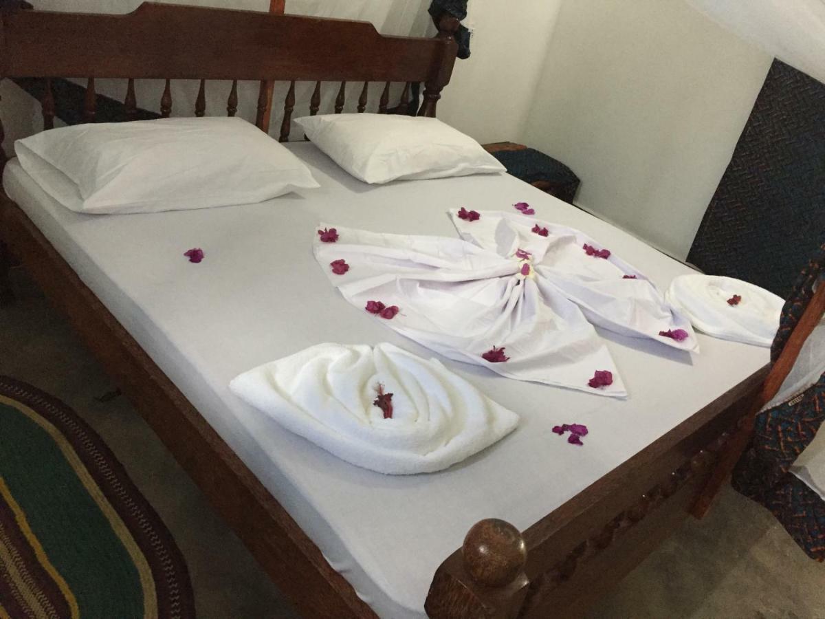 Kasuku Jambiani (Zanzibar)