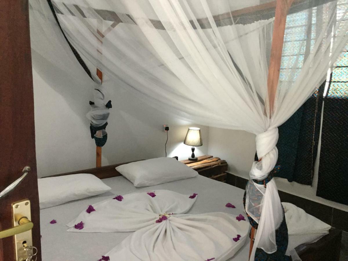 Kasuku Jambiani (Zanzibar)