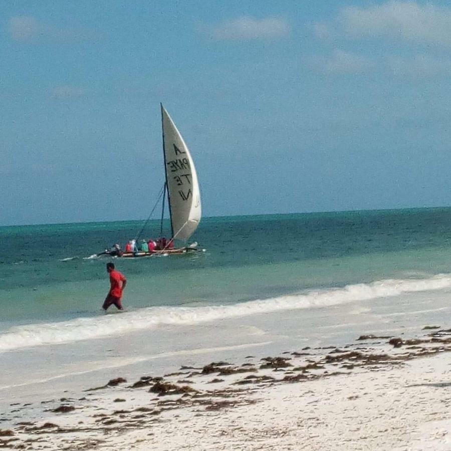Kasuku * Jambiani (Zanzibar)