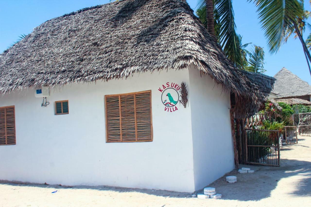 Kasuku Jambiani (Zanzibar)