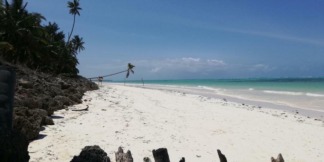Summer Dream Hotel Paje