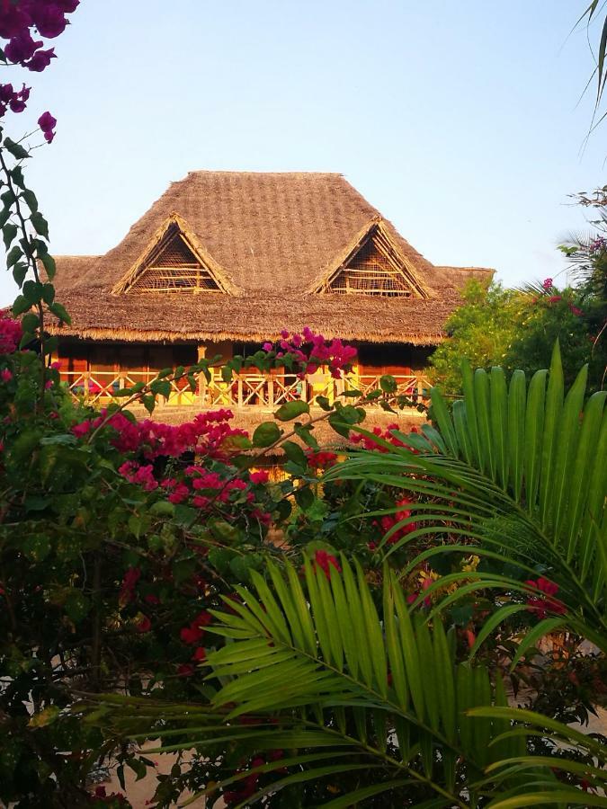 The Coco Paradise Aparthotel Jambiani (Zanzibar)