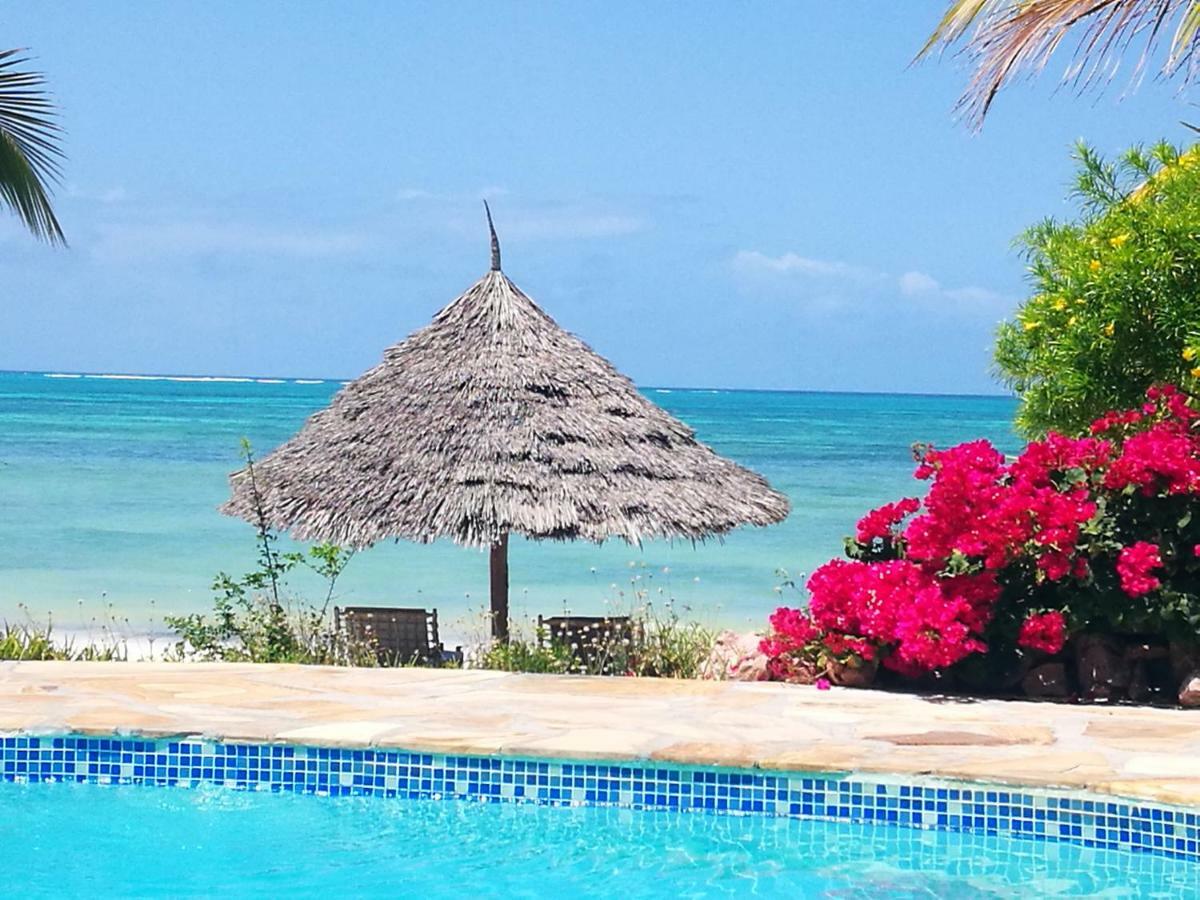 The Coco Paradise *