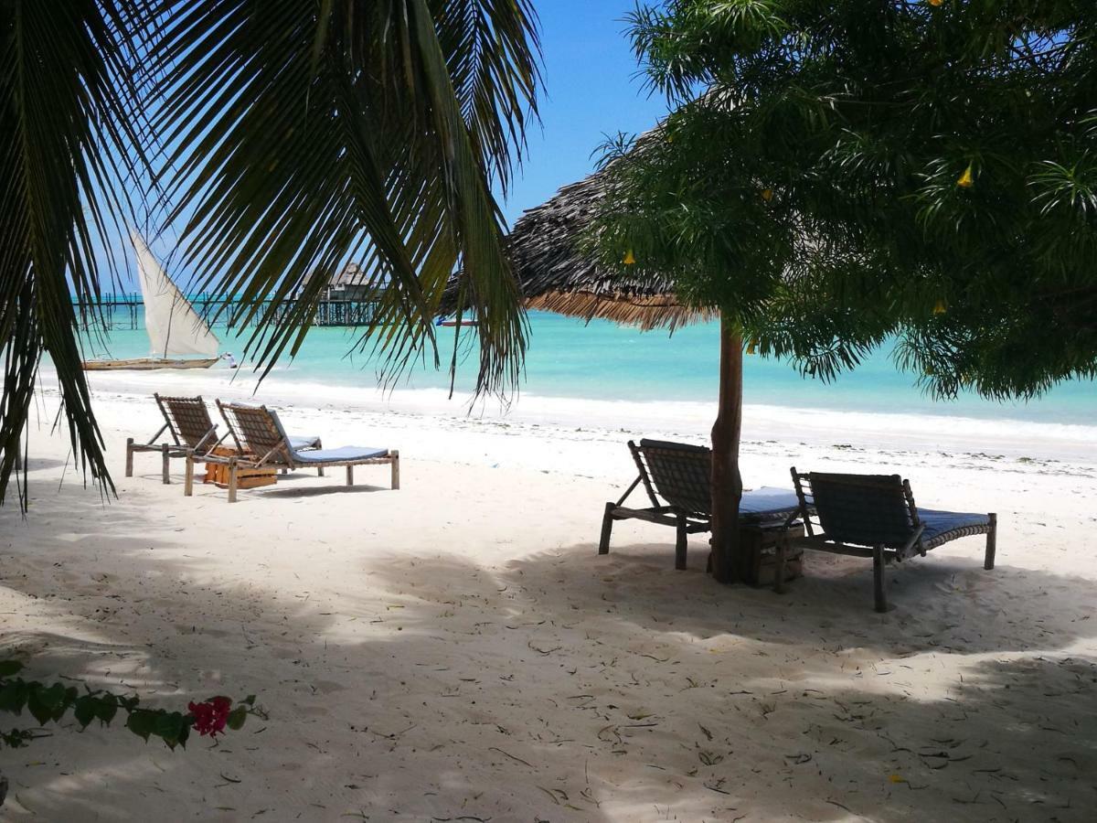 Aparthotel The Coco Paradise