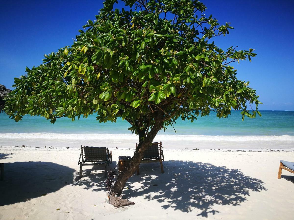 The Coco Paradise Aparthotel *