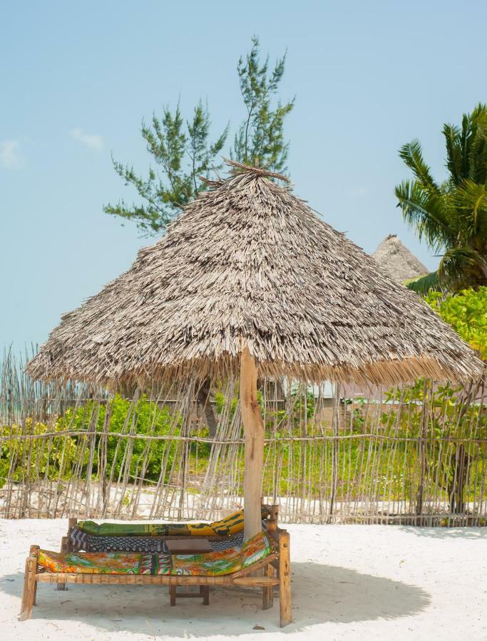 Palm 3*