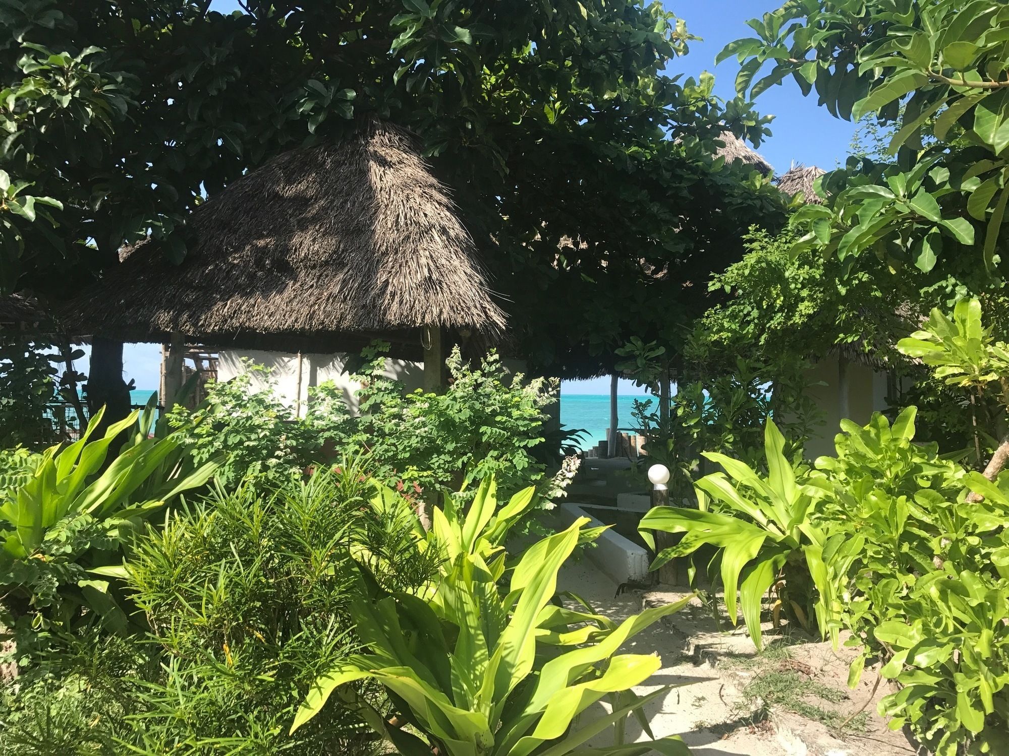 Garden * Jambiani (Zanzibar)