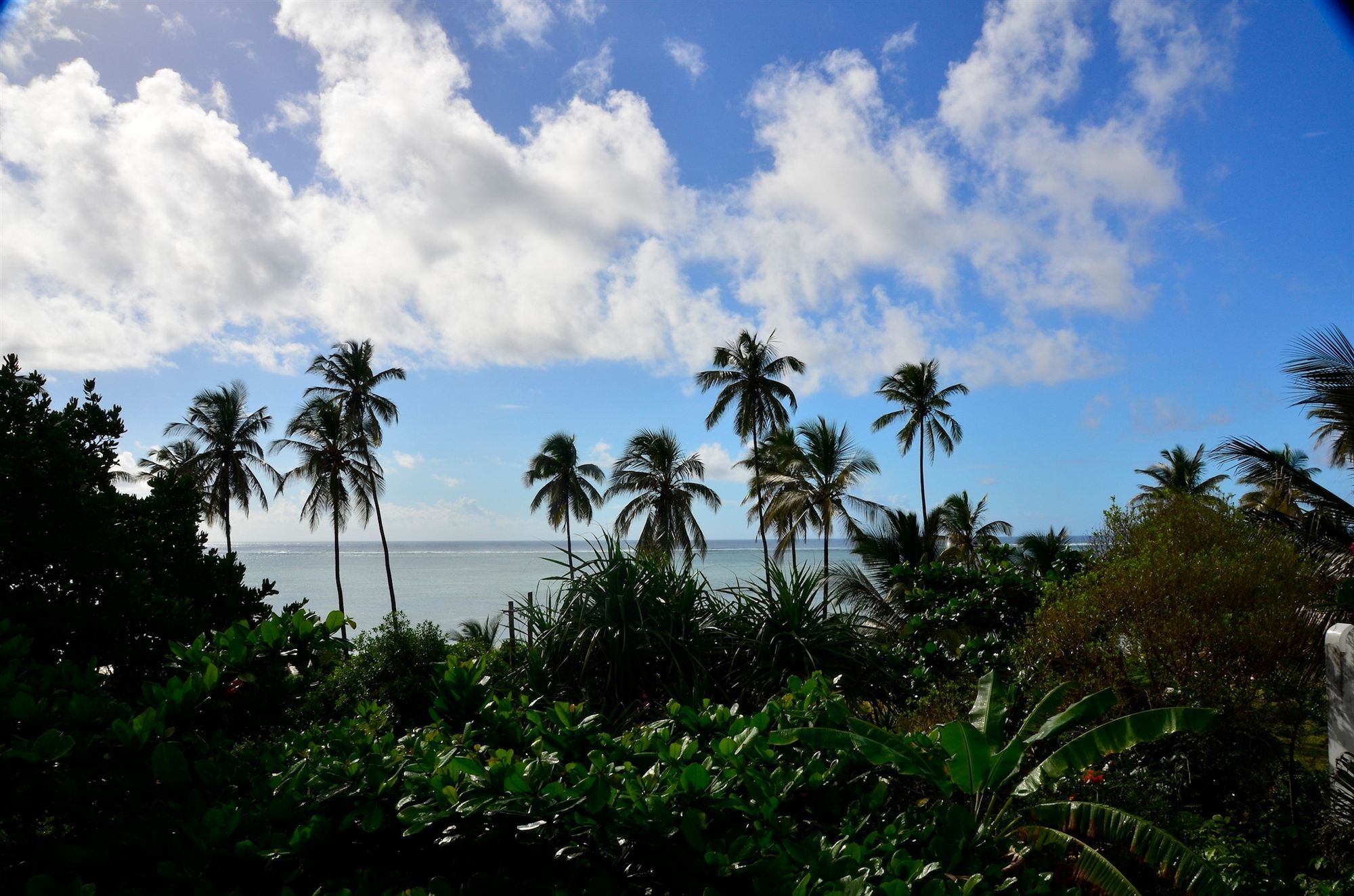 Bellevue Zanzibar Bed & Breakfast Bwejuu