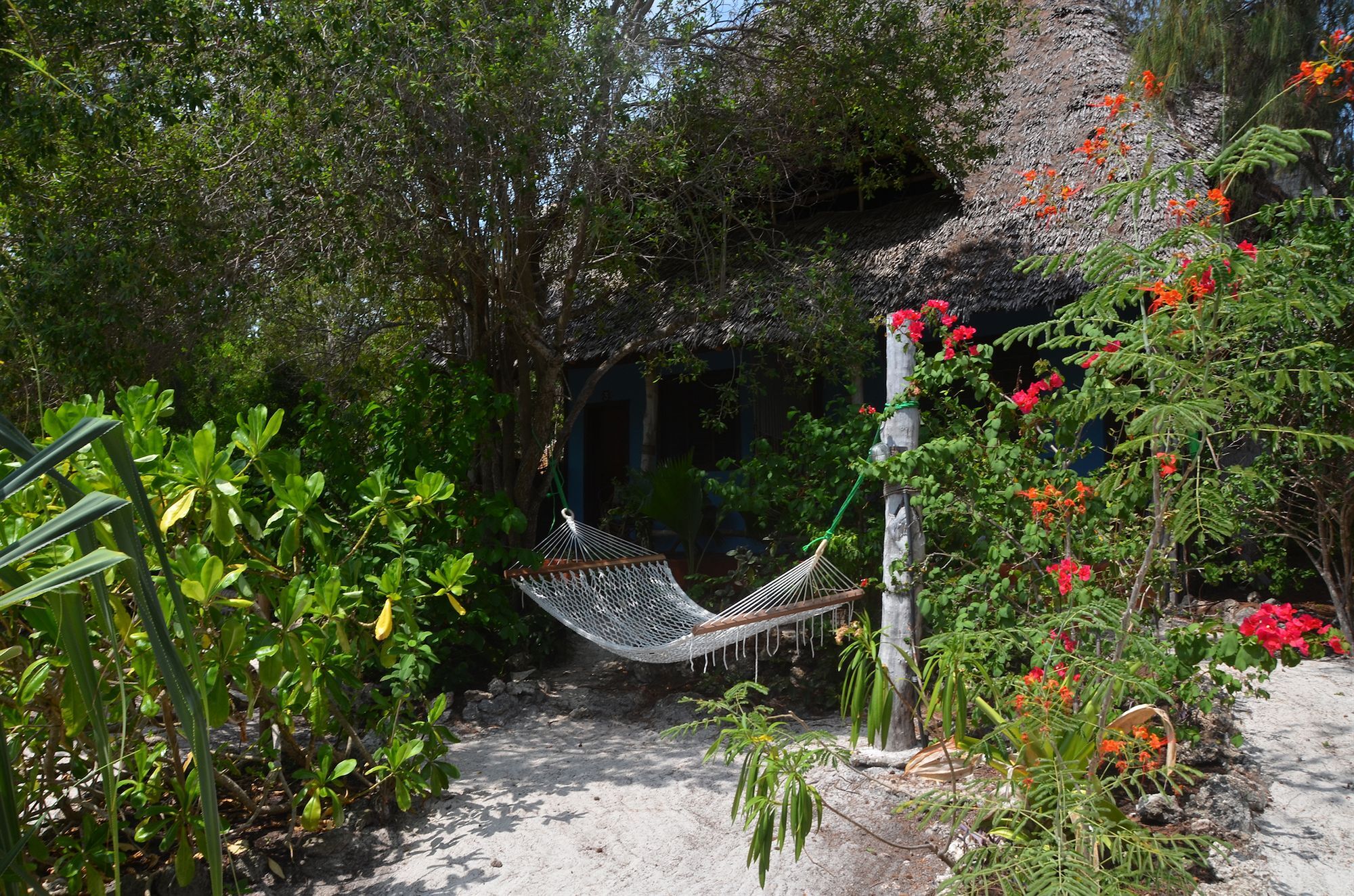 Bellevue Zanzibar