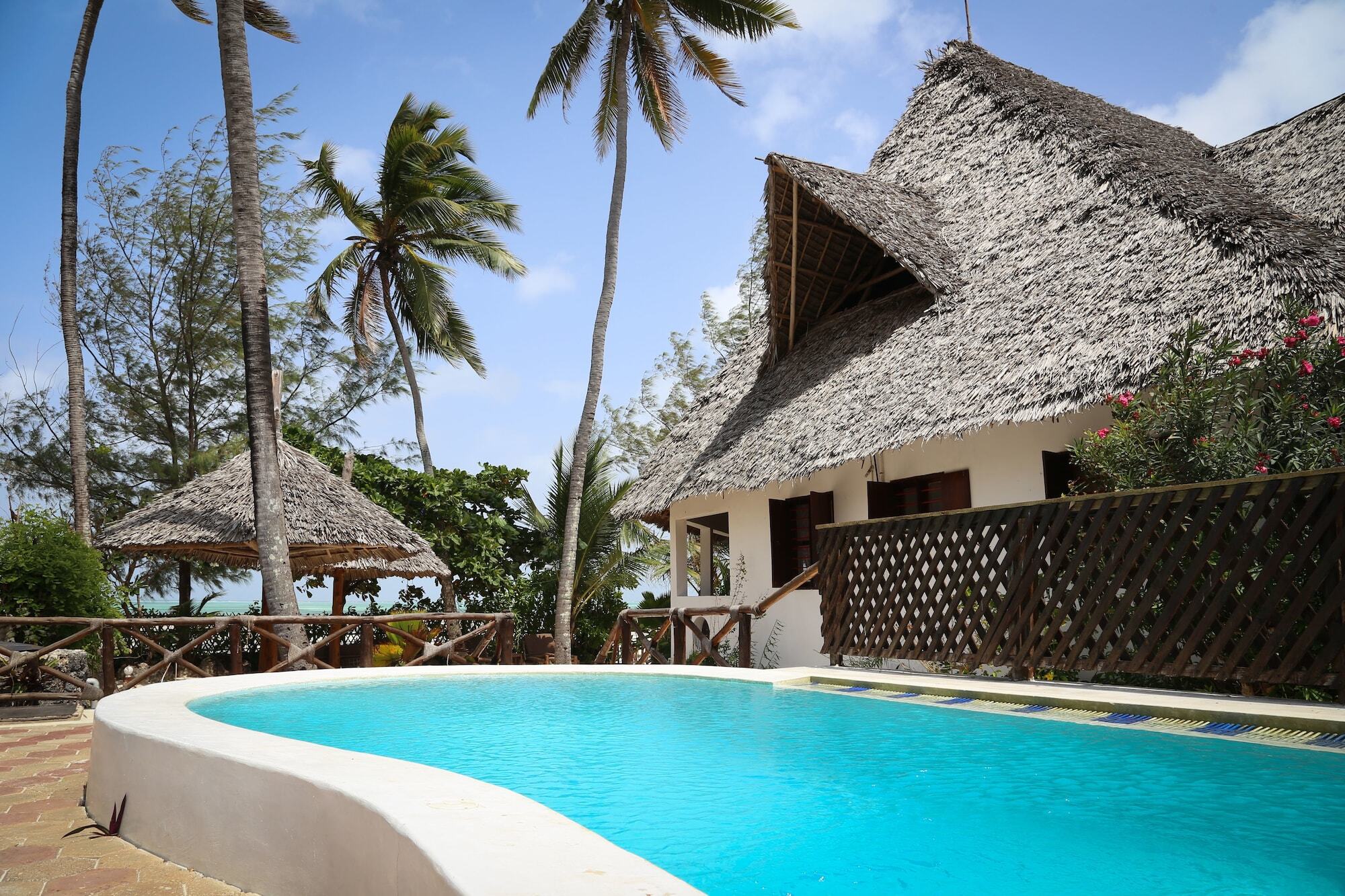 Kipepeo Zanzibar *