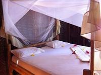 Hotel New Teddys Place Backpacker *
