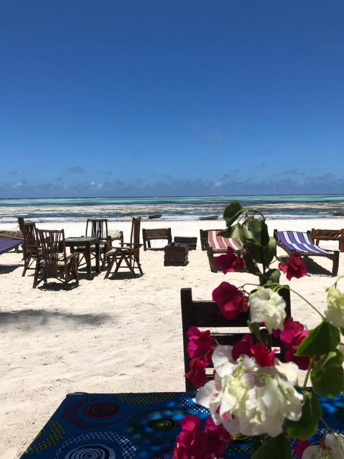 Simba Zanzibar Bed & Breakfast Kiwengwa (Zanzibar)