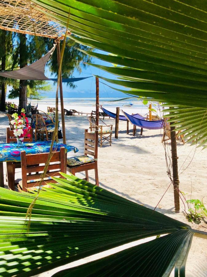 Simba Zanzibar Kiwengwa (Zanzibar)