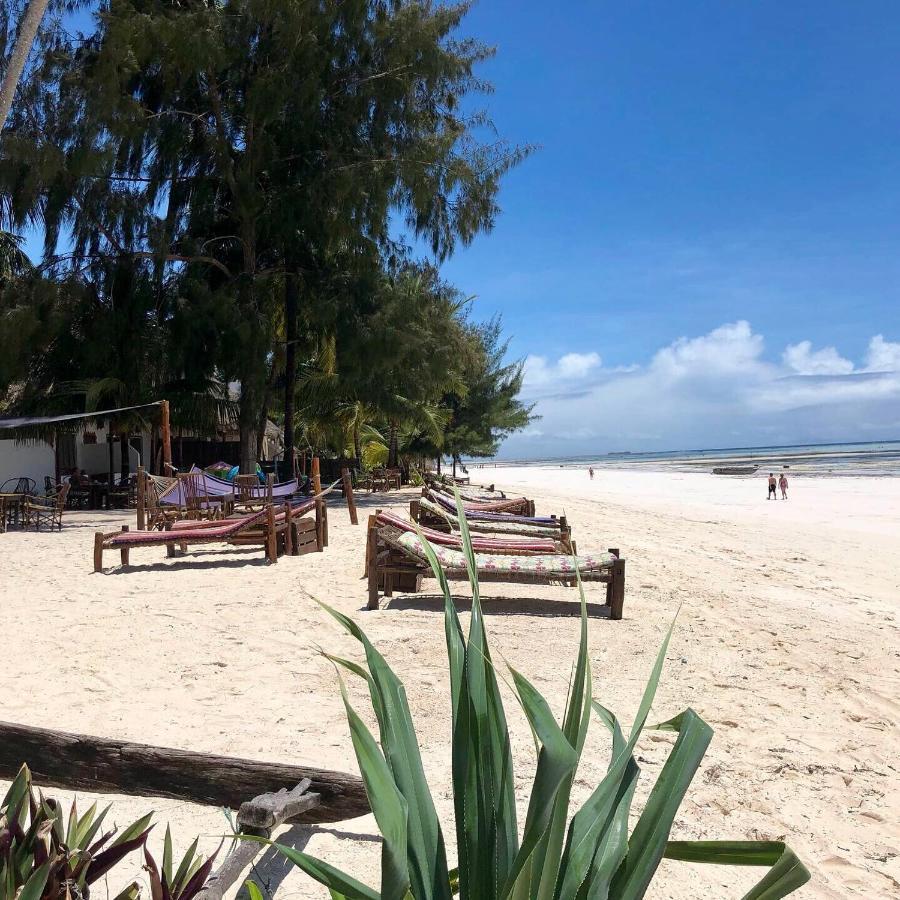 Simba Zanzibar Bed & Breakfast 3*