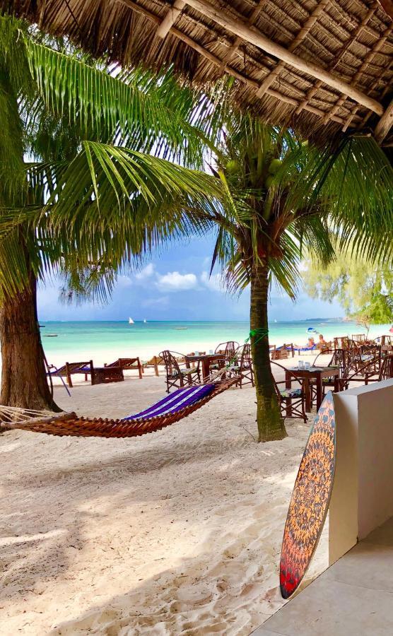 Simba Zanzibar Kiwengwa (Zanzibar)