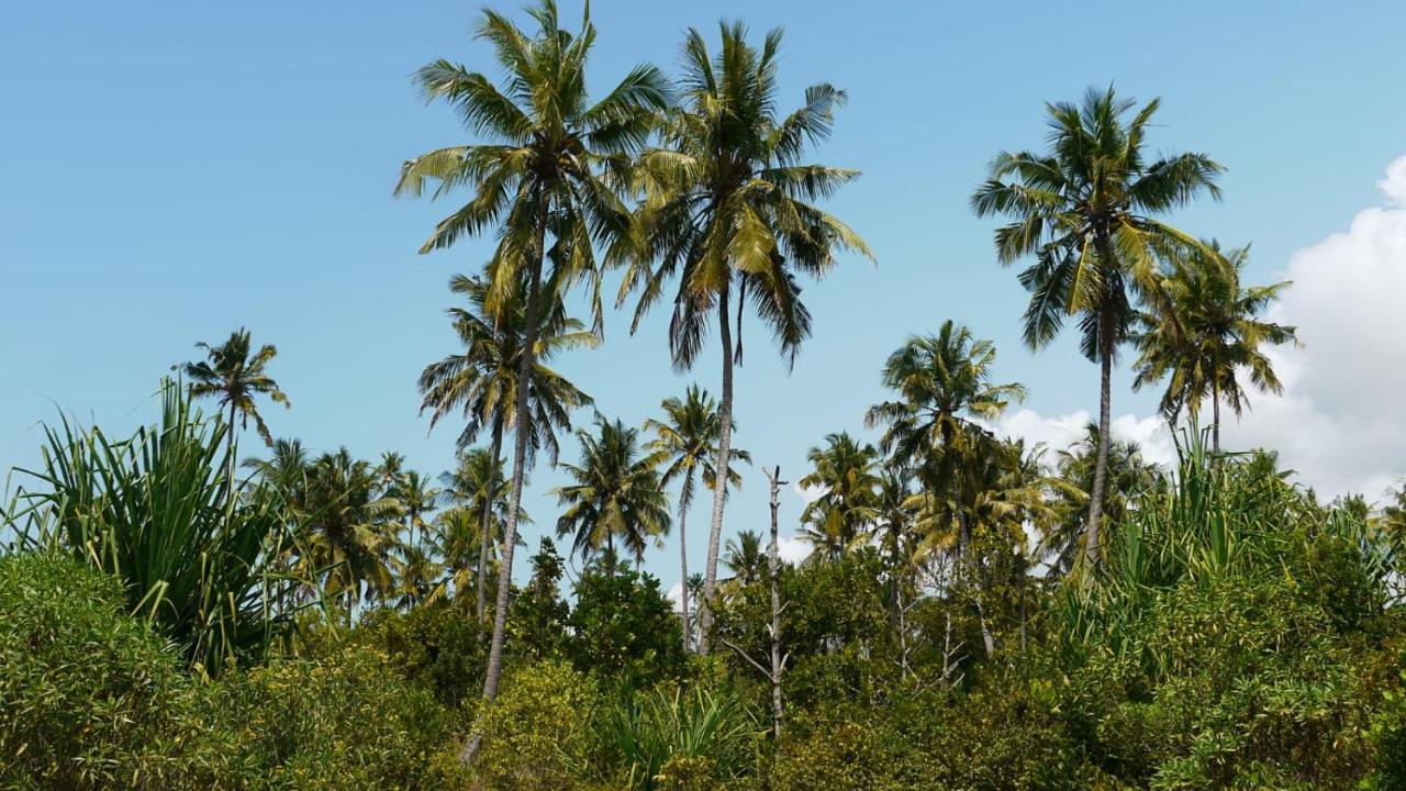 Barefoot Zanzibar
