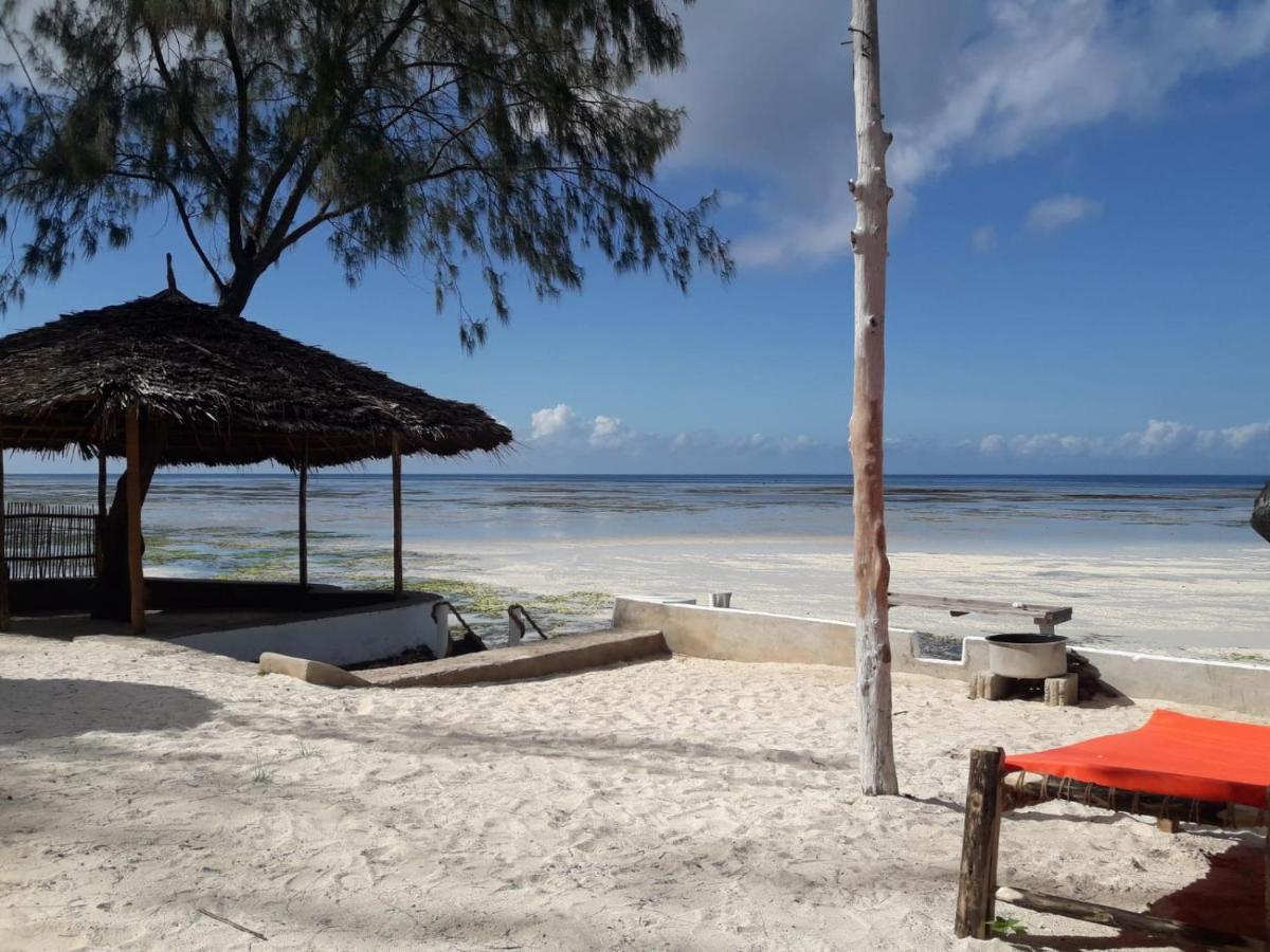 Blue Dolphin Bay