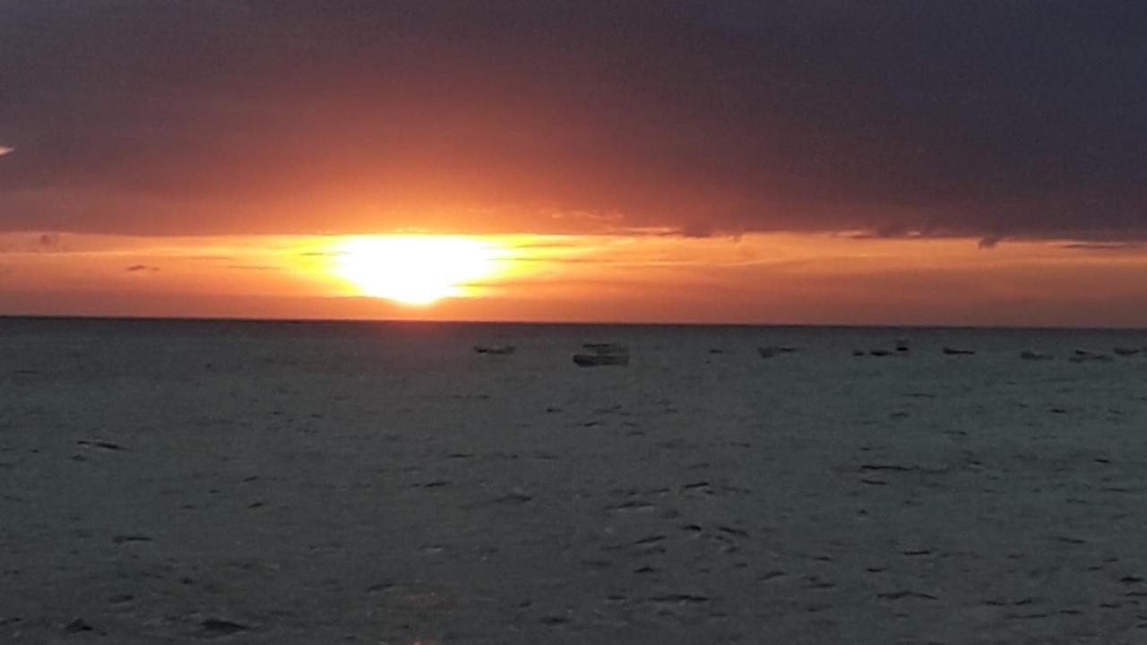 Blue Dolphin Bay Zanzibar