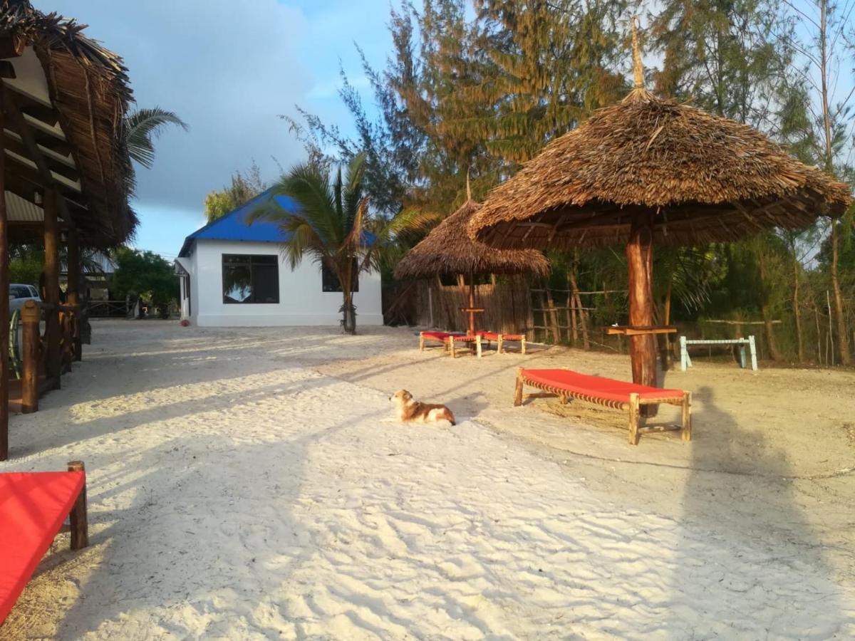 Bed & Breakfast Blue Dolphin Bay