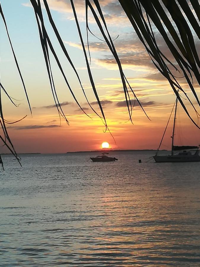 Blue Dolphin Bay 3* Zanzibar