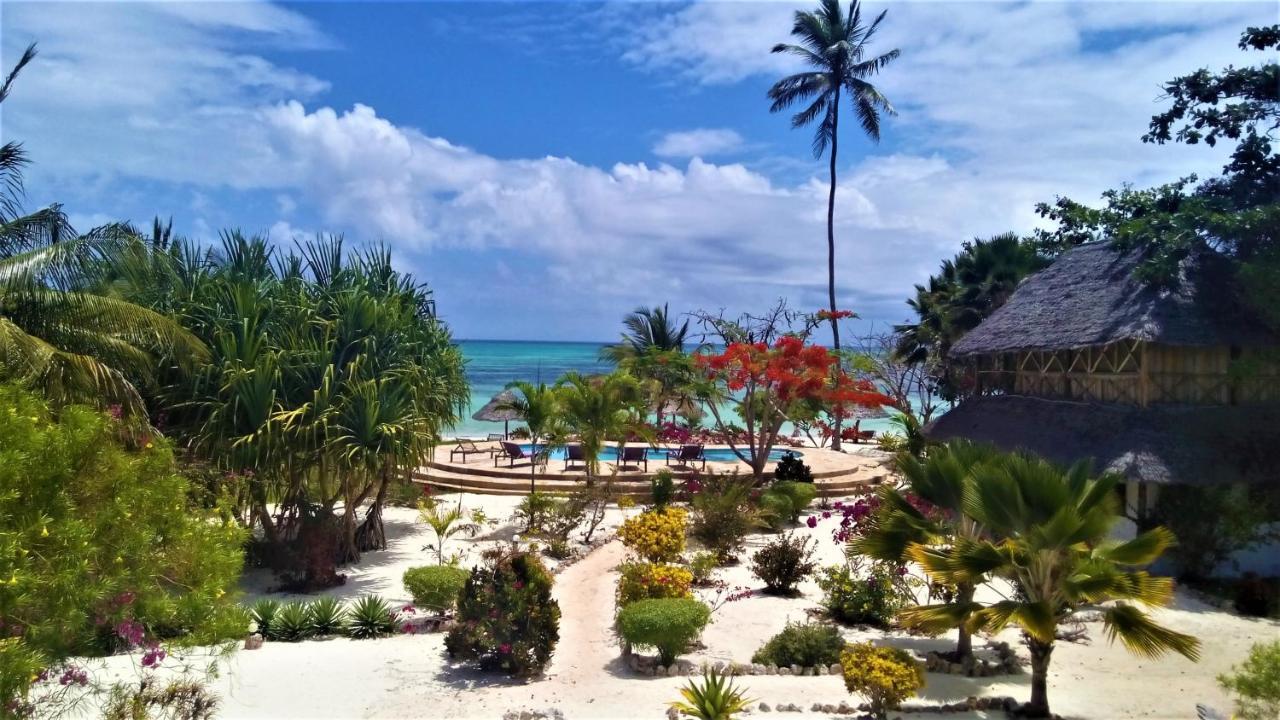 The Coco Paradise