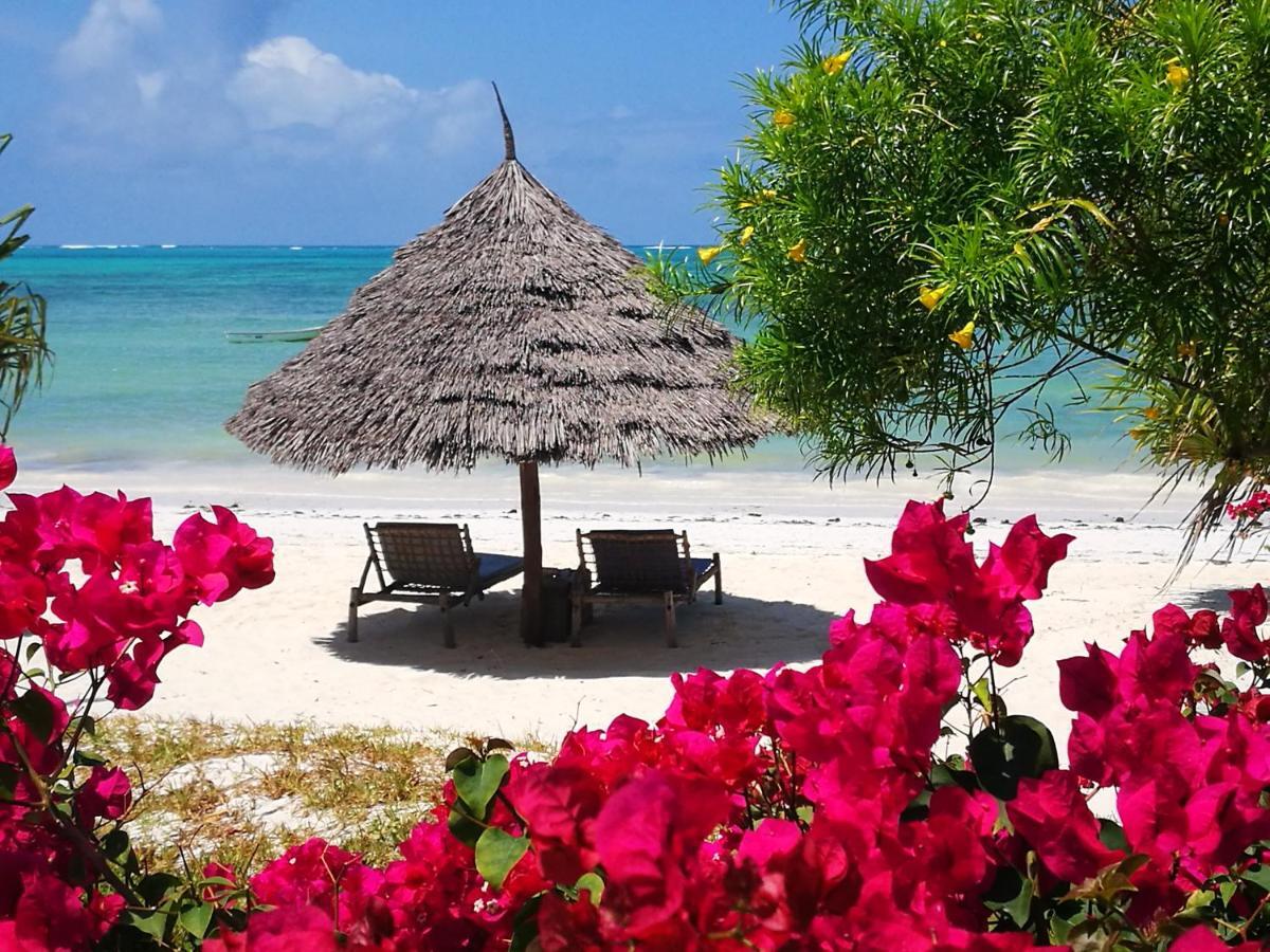 The Coco Paradise *