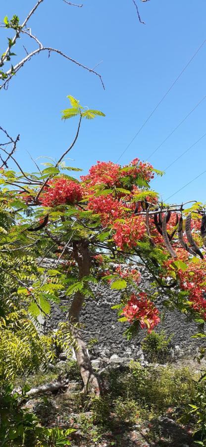 Mau'splace - Authentic Afrikan House Homestay Jambiani (Zanzibar)