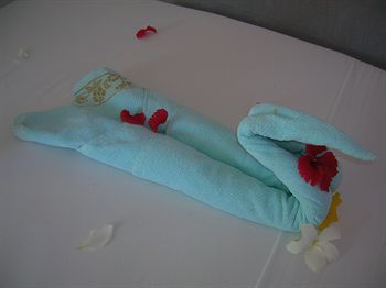Kizi Dolphin Kizimkazi