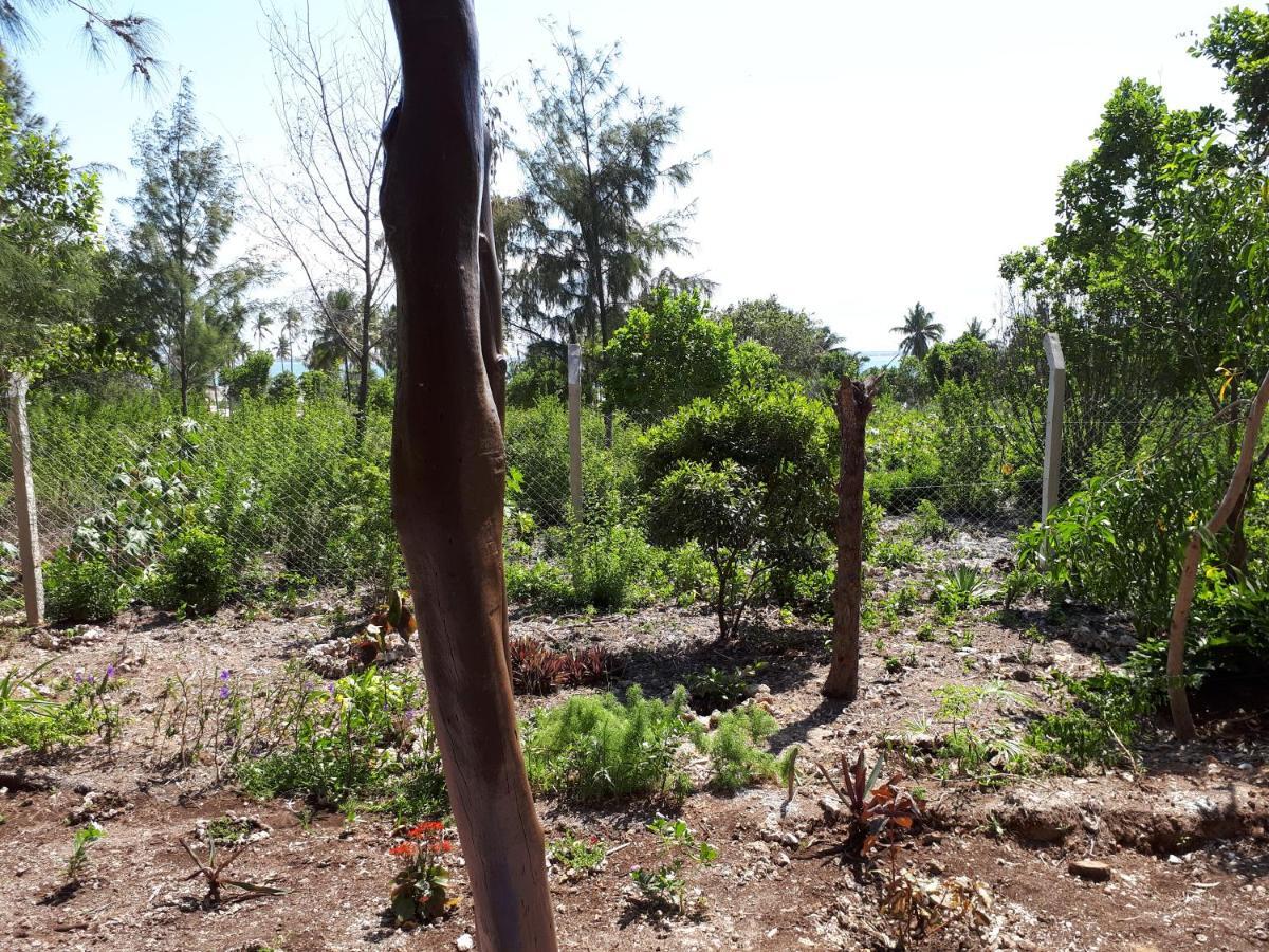 Jua Peponi Lodge Michamvi Kae