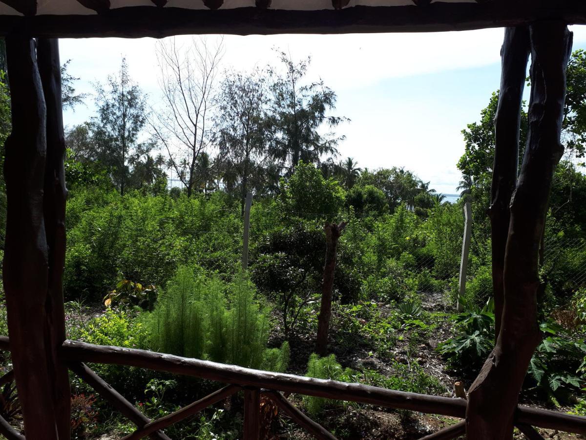 Jua Peponi Michamvi Kae