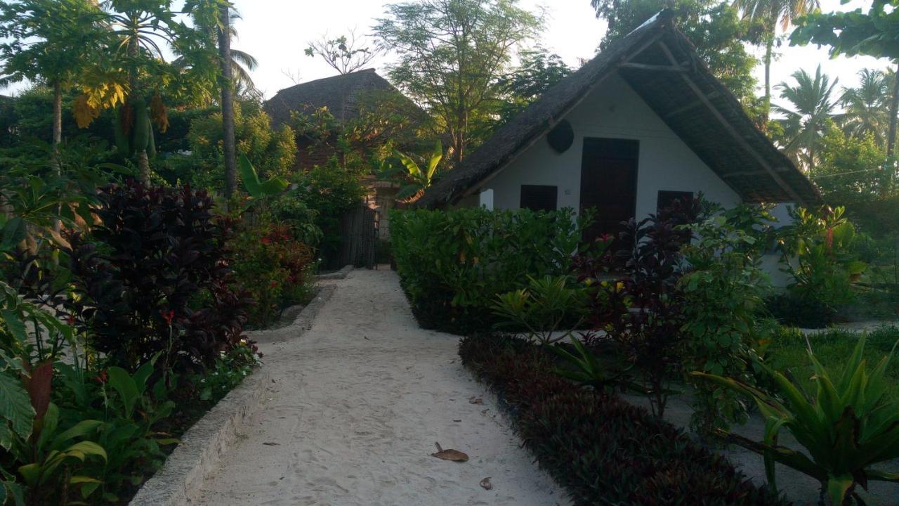 Bed & Breakfast Kaskazi Beach Nungwi