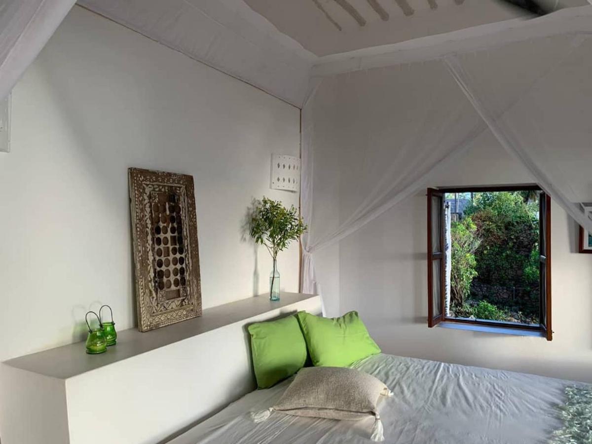 Guest house Beach House Michamvi Pingwe
