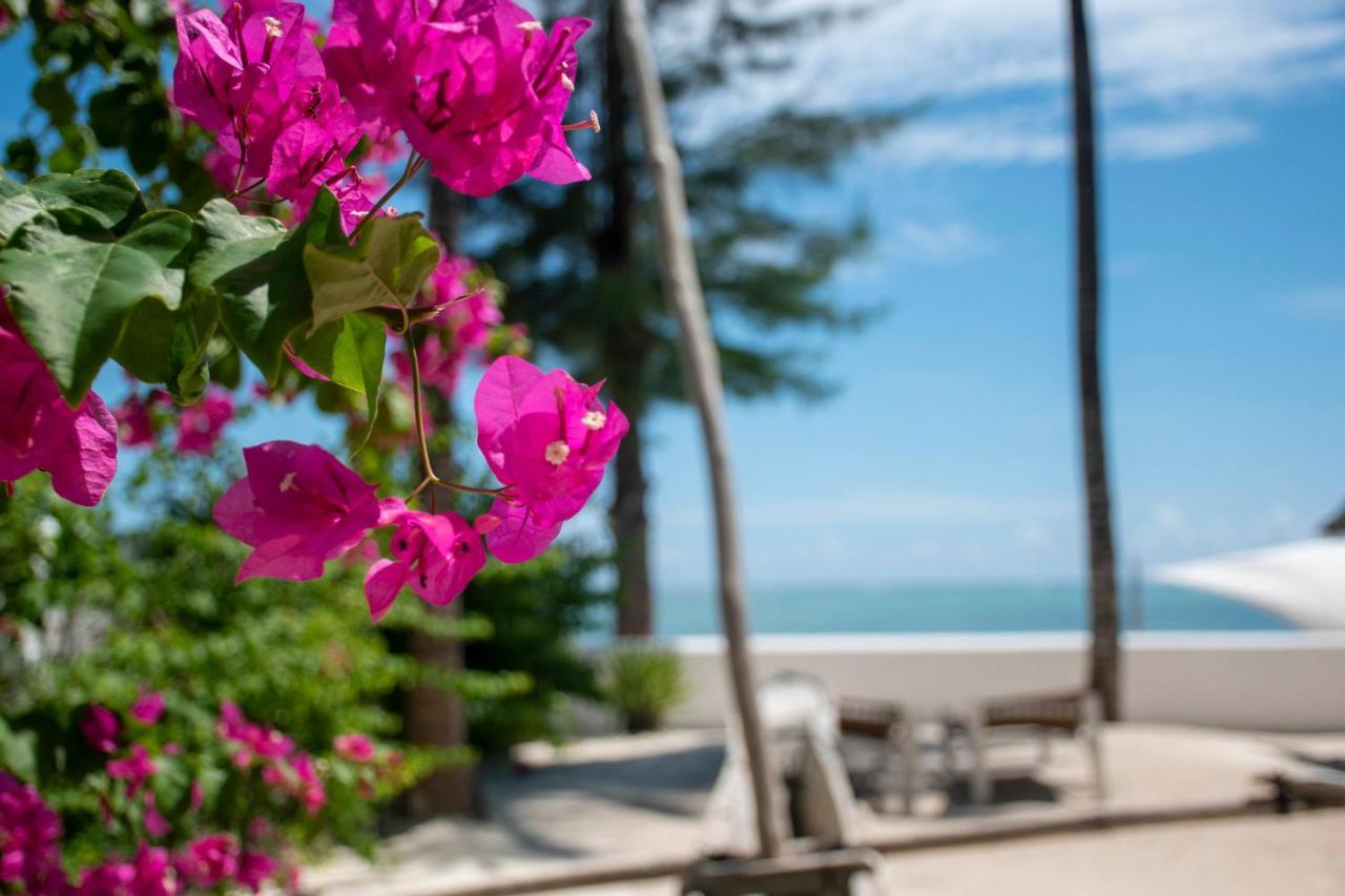 Villa Kobe Kiwengwa (Zanzibar)