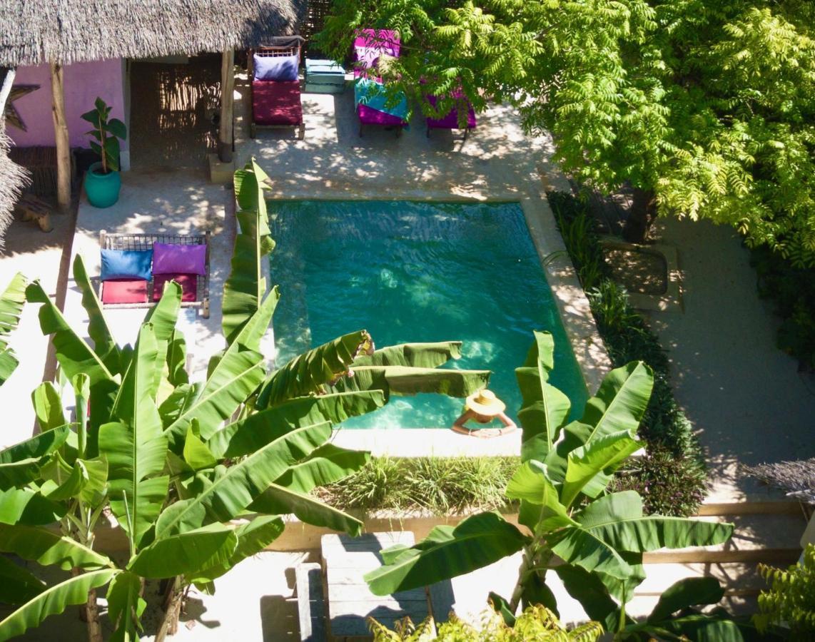 Guest house Zanzistar Lodge Jambiani (Zanzibar)