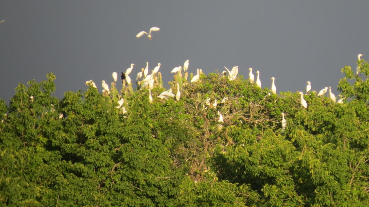 Chapwani Private Island Grave Island