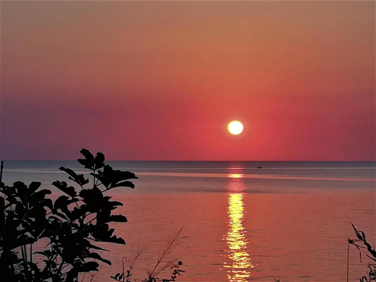 Jabar * Zanzibar